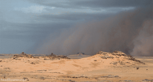 ac8a5549ee79cd3a94393d080f6079d1_95225661dd397373807e7ba04e0f2c57.gif