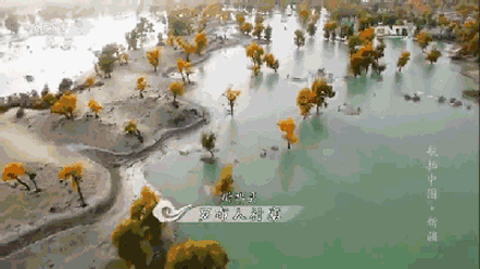 6521d38d935e27f86bae6853df68e22e_t013e53de0e210e04b8.gif