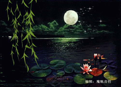 500_359gif 动态图 动图