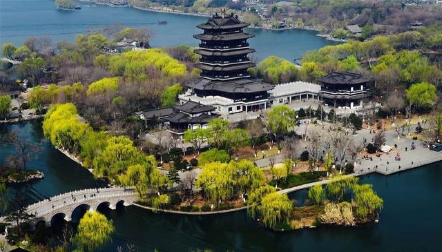 诗城词都:孙义福历下区采风行草(图5)