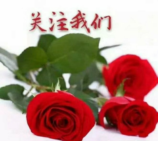 IMG_20200903_125232.