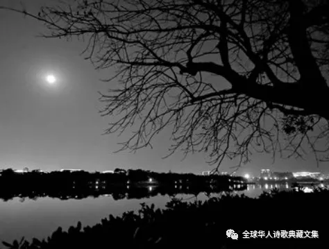 《鬼怕恶人》——燕燕作品选(图7)