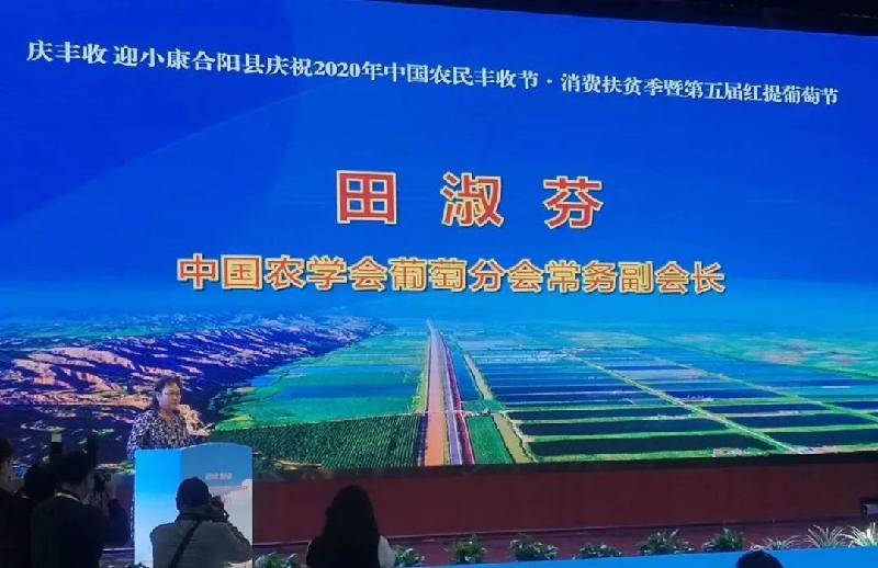 农民节日话丰收 神农果业获大奖(陕西韩城)(图9)