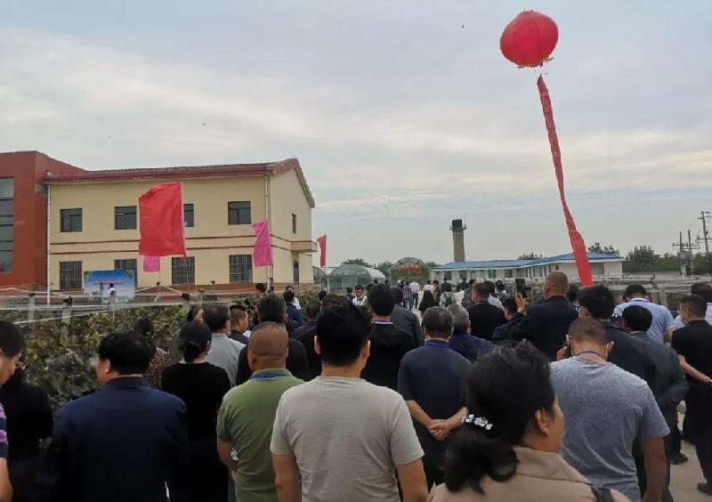 农民节日话丰收 神农果业获大奖(陕西韩城)(图11)