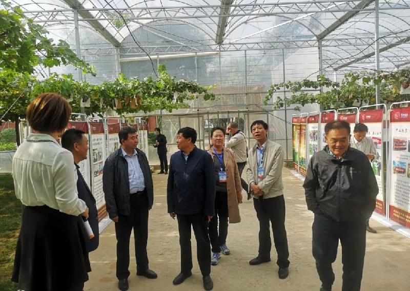 农民节日话丰收 神农果业获大奖(陕西韩城)(图12)