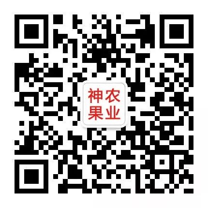 农民节日话丰收 神农果业获大奖(陕西韩城)(图24)