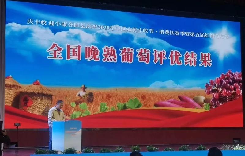 农民节日话丰收 神农果业获大奖(陕西韩城)(图18)