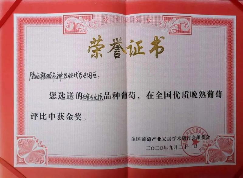 农民节日话丰收 神农果业获大奖(陕西韩城)(图21)