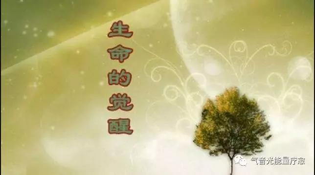 生命的觉醒(文/吴文颇 主播/燕姐)