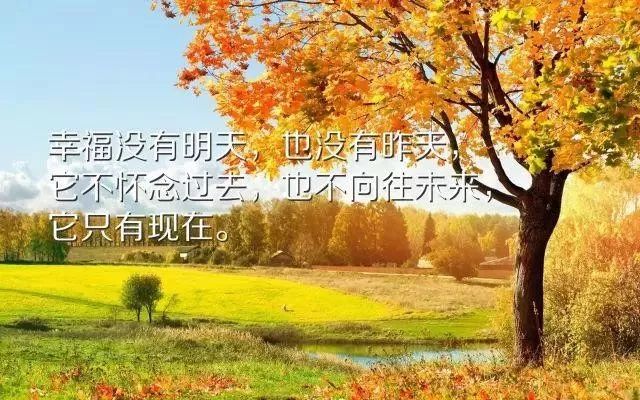 null5cb4b6568919fe40.