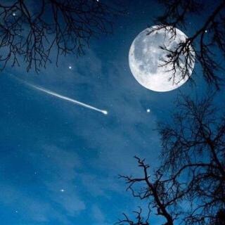 7B736383-7C93-4D71-B530-435F3C0FB83E.