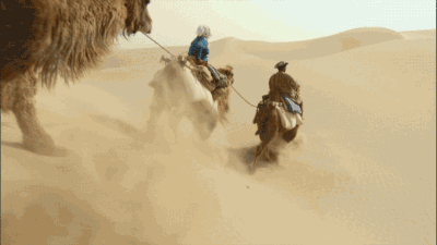 1601664625366037965.gif timg.gif