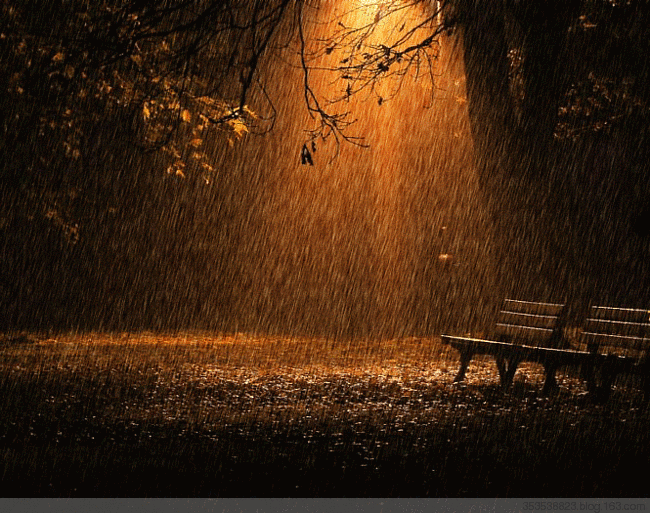 秋雨夜眠图片