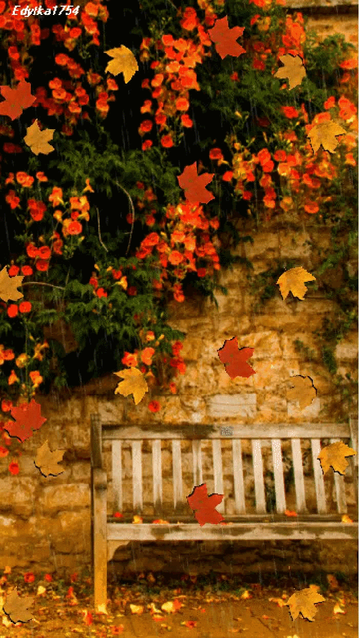 秋天的景色 动态图片