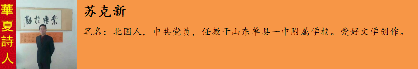 鑻忓厠鏂?.png
