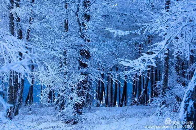 雪花落在心山 外四首作者:李森泉||海外頭條