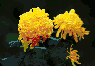 timg (1).gif