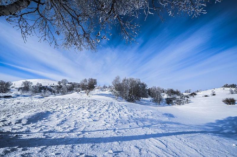 【枫雅汇看图约诗】第146期同题《冬韵》(图13)
