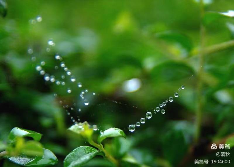 夜雨敲窗,诗友唱和(图15)