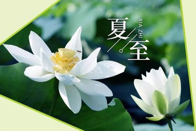 【潇湘文学社】潇湘如兰诗社《随吟辑》(图13)