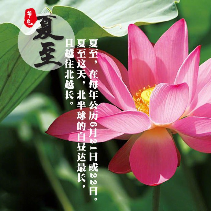邱建铭〔广东〕夏日诗词专辑 【冰心文化传媒】(图9)