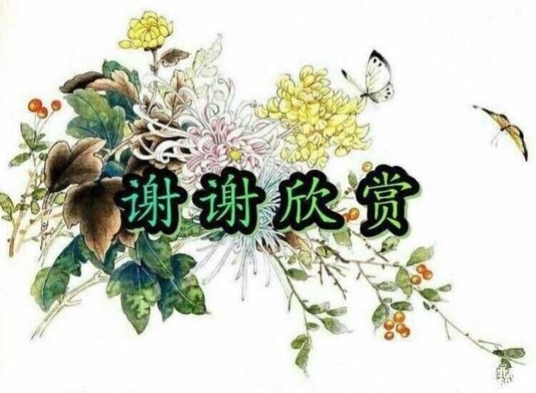 威海市老年体育协会举办2021年首次《唱响红歌大赛》庆祝建党百年华诞文艺汇演! 纪实/编辑/孙秀梅(图44)