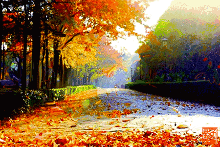 8b3f47c2b15f7f360c000809de0a8222_315f000821bbca8f7397_from=pc.gif