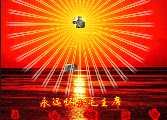 mmexport1608904406687.