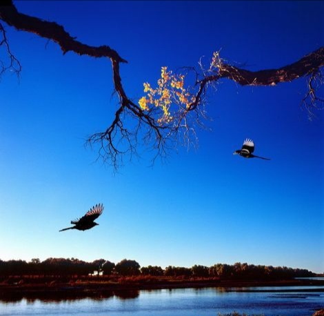 IMG_20201228_102445.