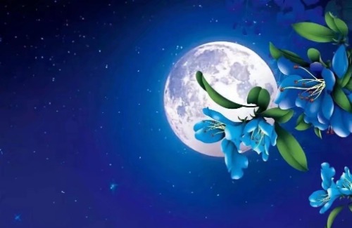 瑶华 风清月明