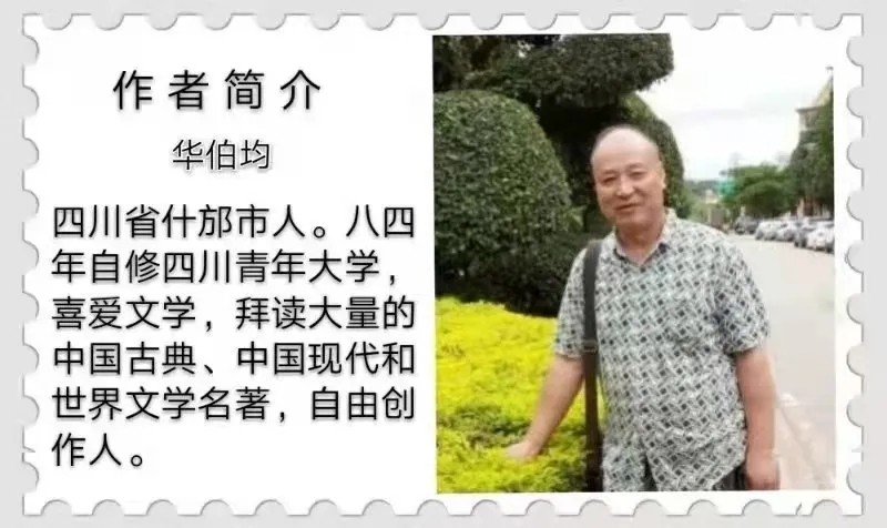等候一场雪 文/华伯均〔四川〕制作 冰心.幽蓝【冰心文化传媒】（图6）