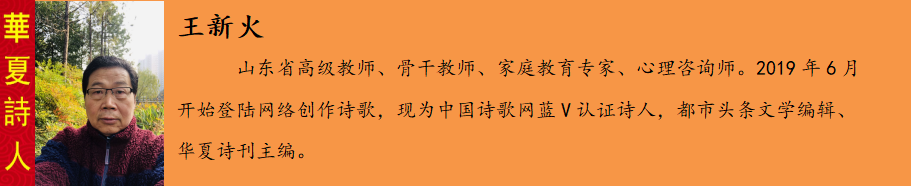 鐜嬫柊鐏?.png