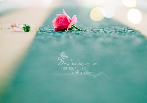 作词的《爱了给了伤了痛了》歌曲发布网络后，一时传遍祖国的大江南北。