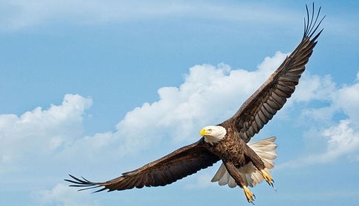 F6B35A91-21FB-4B32-BD90-D4D607E6489F.