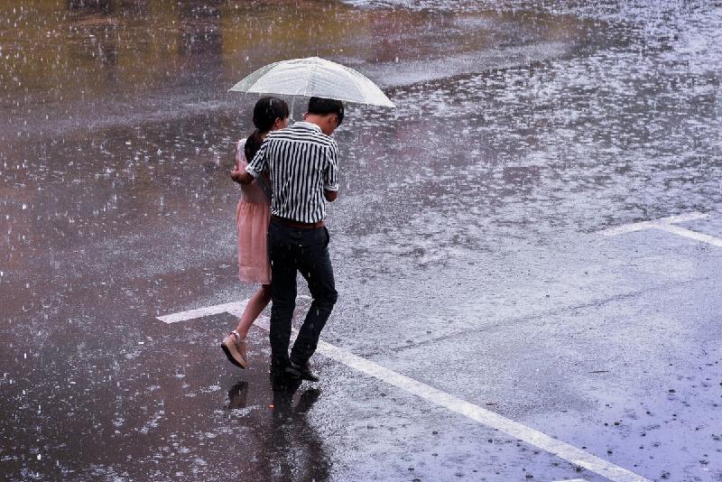 【枫雅汇看图约诗】诗人焦勇专辑《二十二》（风雨同行）（图6）