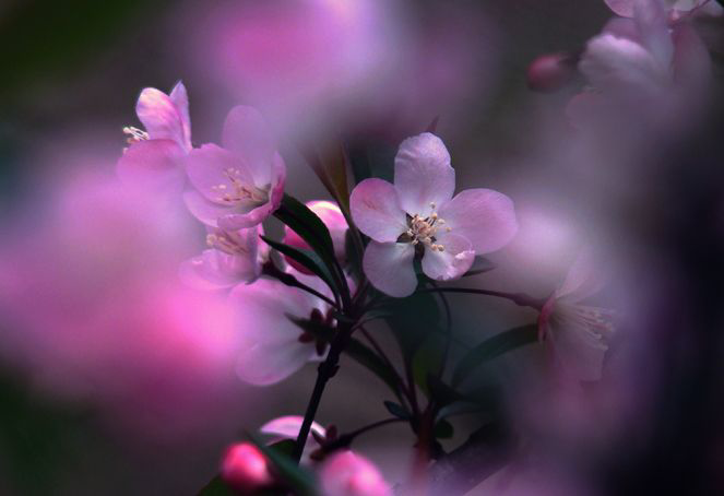 250D533D-9733-4DB9-92A7-1E2BE2335B19.