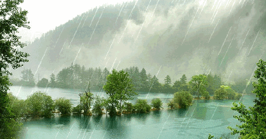 4D0743F1-9431-4DD0-BFE9-C52FFE0B0508.