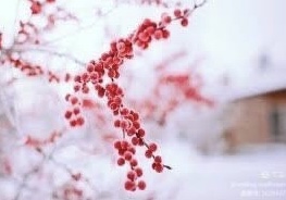 425367E9-1D7A-45E0-B92F-1AAB32C0D031.