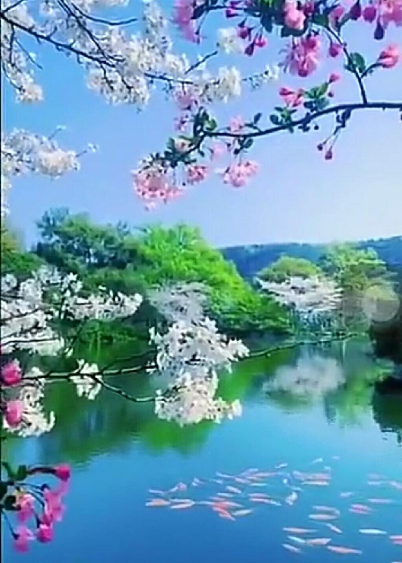 mmexport0b0f655dae11a1ba746653c97ca3678d.