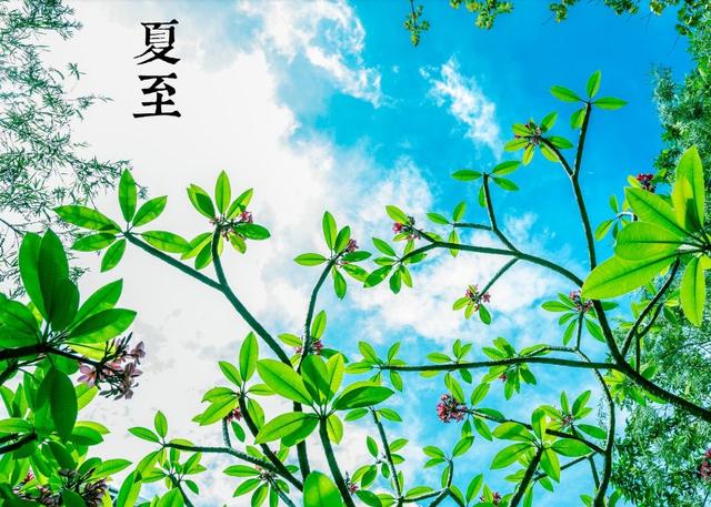 www.ruanjianxia.