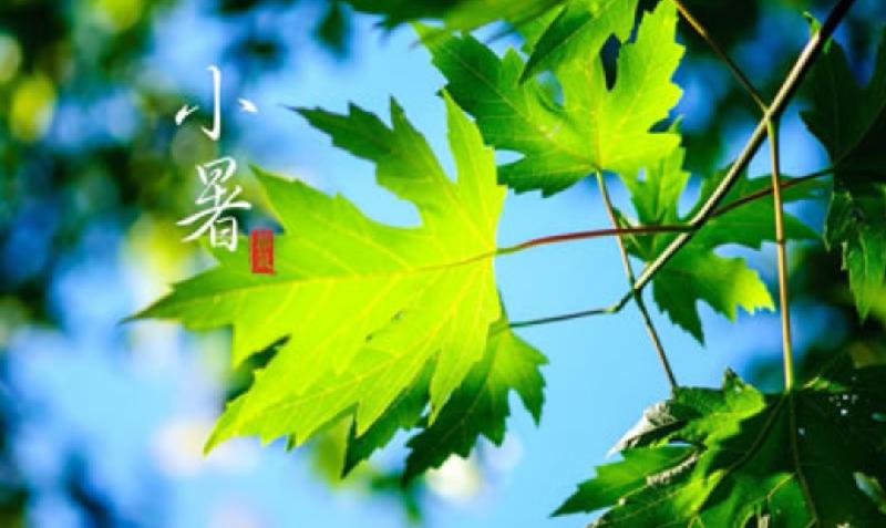 Screenshot_20210121_091556_com.baidu.searchbox_edit_372209278228100.