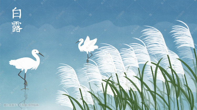 bpic.588ku-16.