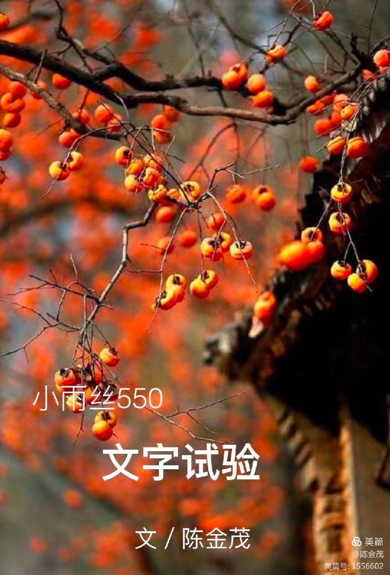 陈金茂〔美国〕组诗 制作 冰心*幽蓝【冰心文化传媒】(图3)