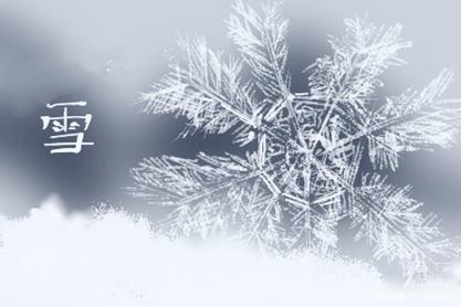 IMG_20201125_050226.