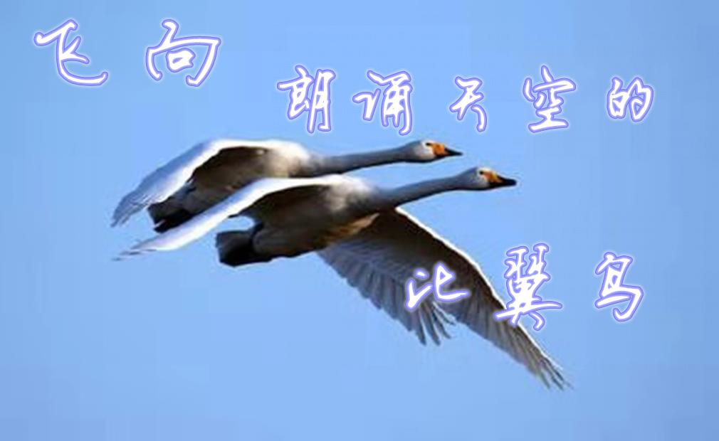 360鎴浘20210129143753986.jpg