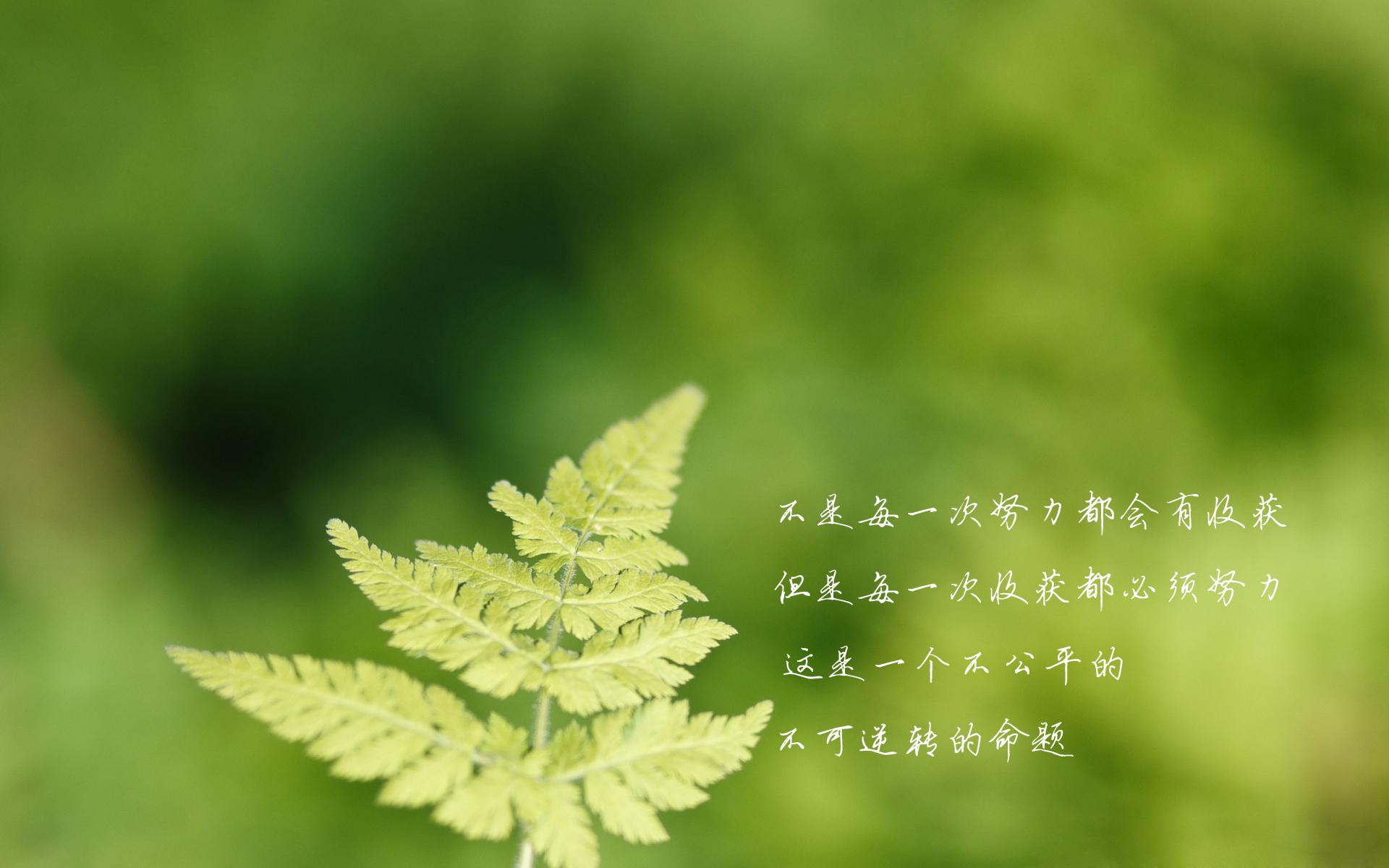 1612486040749094322.jpg src=http_%2F%2Fpic1.win4000.com%2Fwallpaper%2F9%2F54f6af1f0c960.jpg&refer=http_%2F%2Fpic1.win4000.jpg