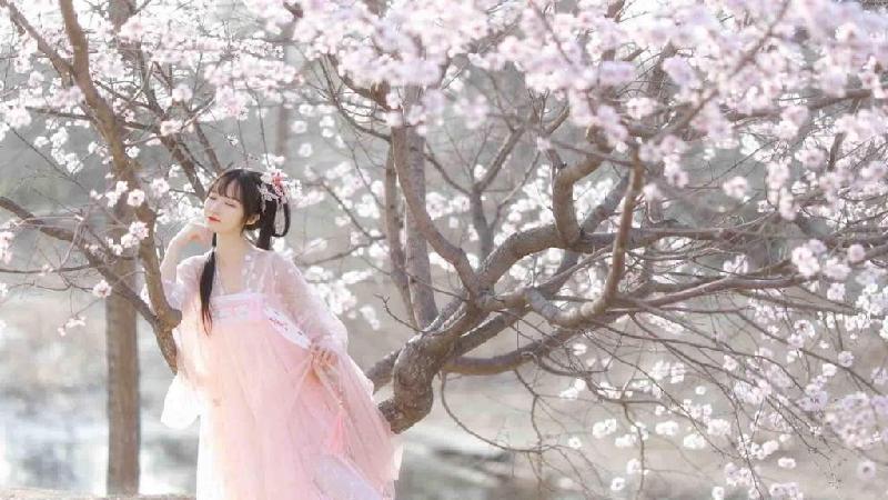 [桃源馨声]江南无所有，聊赠一枝春|作者:昨夜天|诵读:长弓雅士[总887期]（图7）