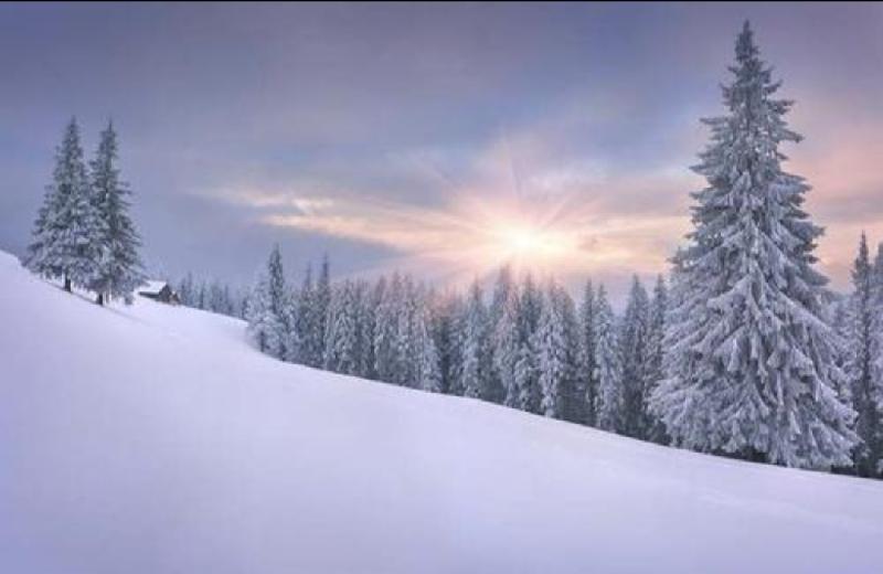 Screenshot_20210206_210441_com.baidu.searchbox_edit_767903650281785.