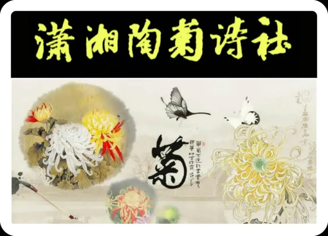 【潇湘文学社】编委专刊01期（图18）