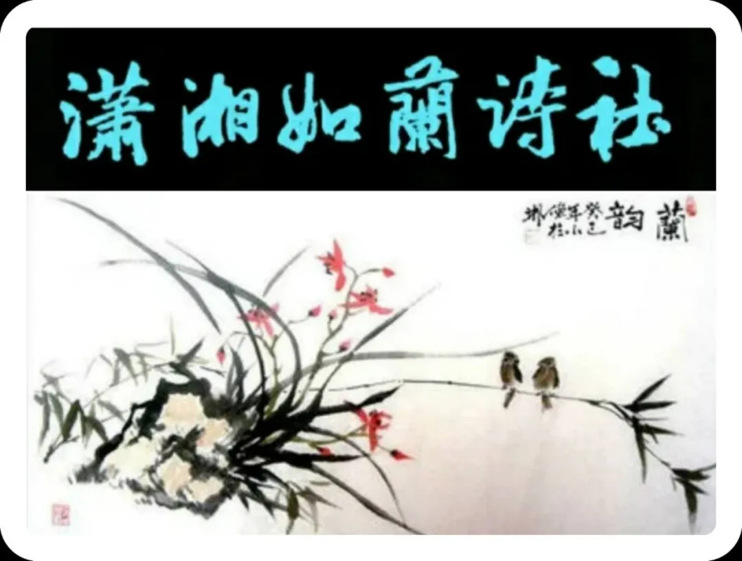 【潇湘文学社】编委专刊01期（图7）